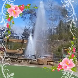 Meet your Posher, Paula